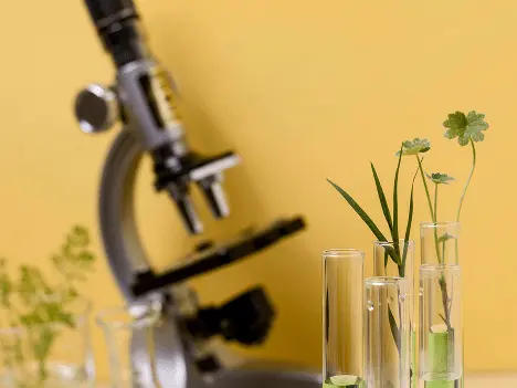 Microscope and science lab setup for natural science passages in ACT online coaching