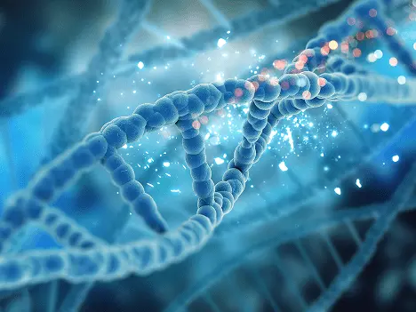 One-on-one AP Science tutoring to strengthen fundamentals and boost confidence