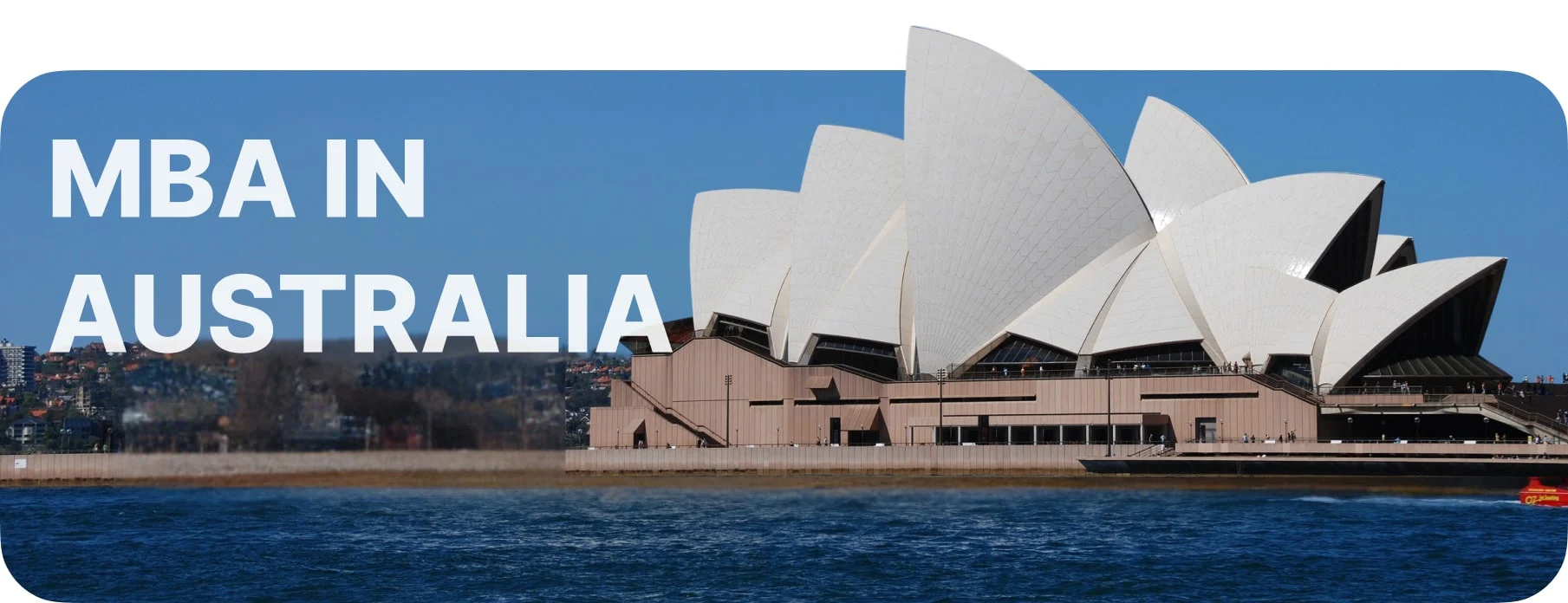study USA banner