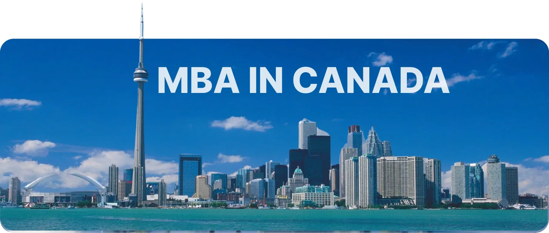 study USA banner