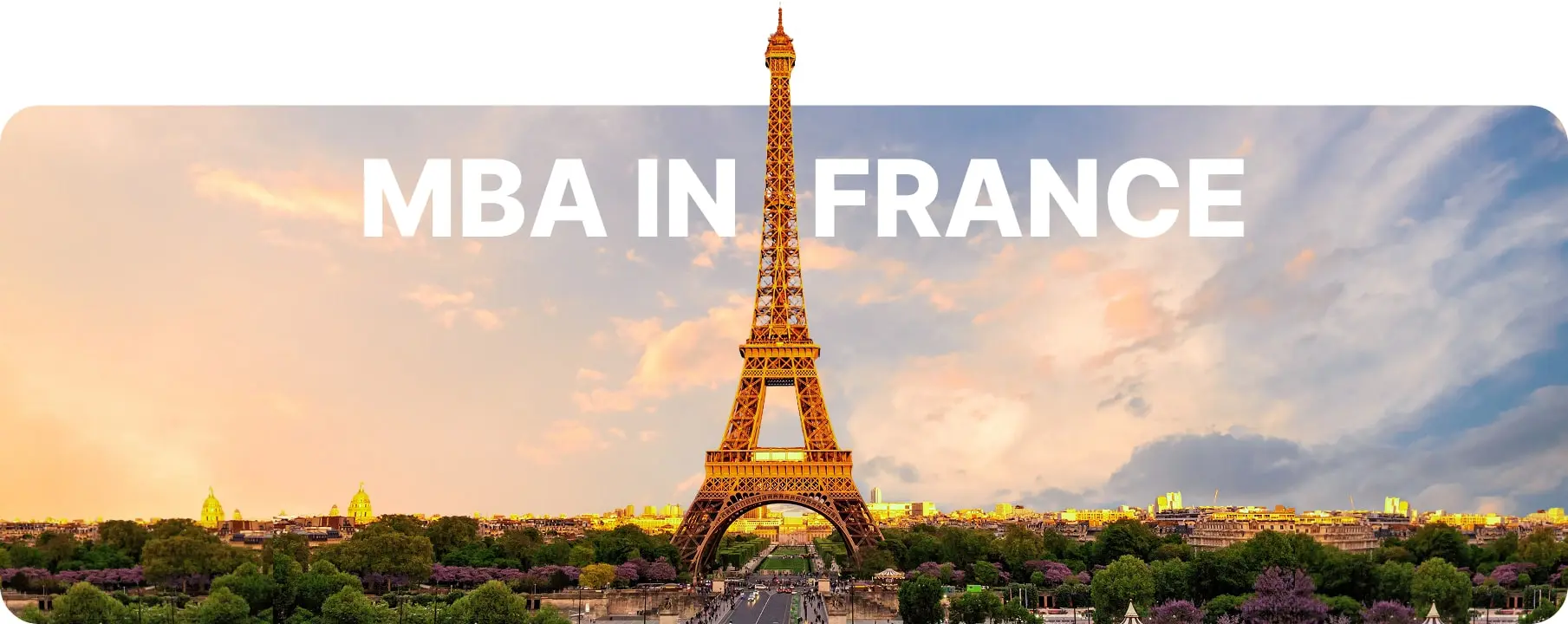 study USA banner